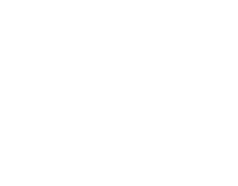Fintech Capital